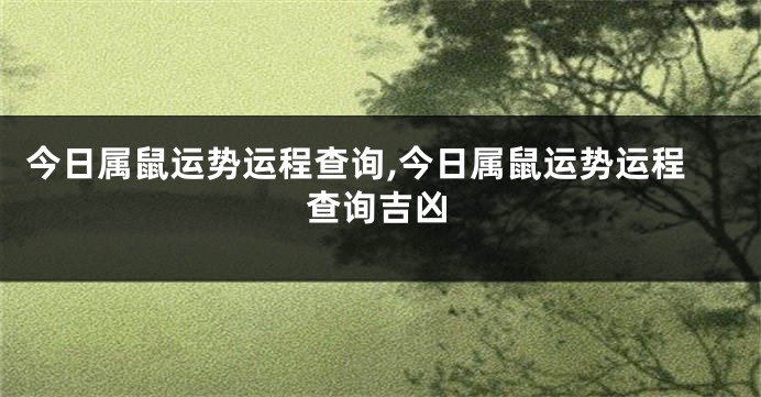 今日属鼠运势运程查询,今日属鼠运势运程查询吉凶