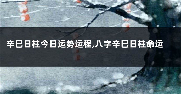 辛巳日柱今日运势运程,八字辛巳日柱命运