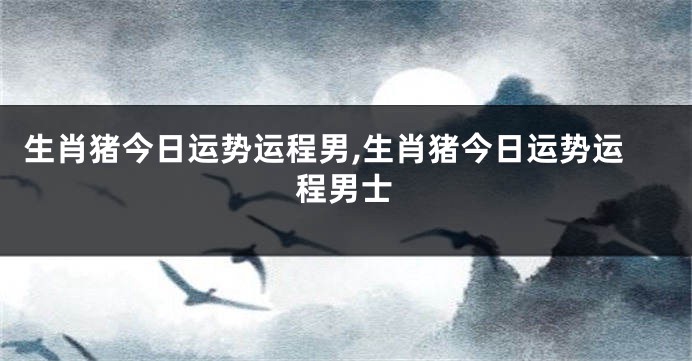 生肖猪今日运势运程男,生肖猪今日运势运程男士