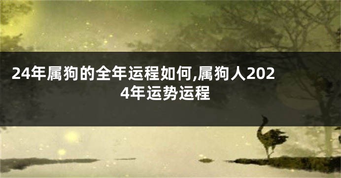 24年属狗的全年运程如何,属狗人2024年运势运程