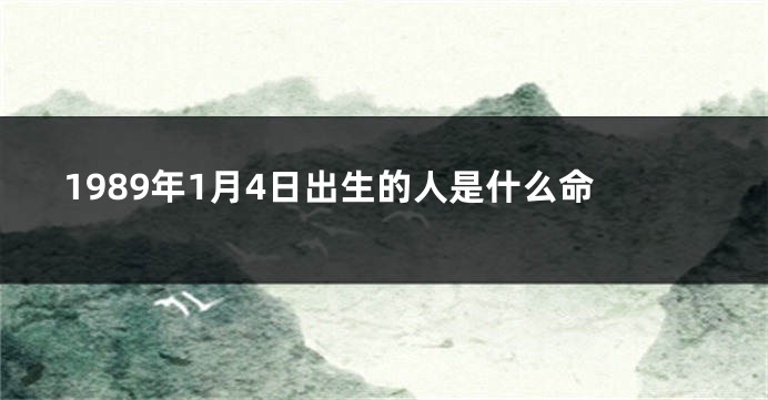 1989年1月4日出生的人是什么命