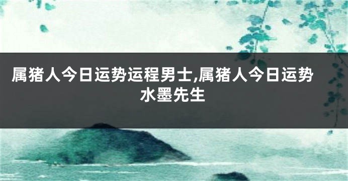 属猪人今日运势运程男士,属猪人今日运势水墨先生