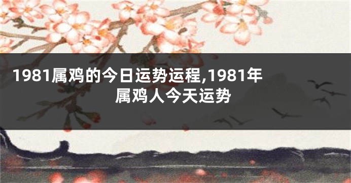 1981属鸡的今日运势运程,1981年属鸡人今天运势