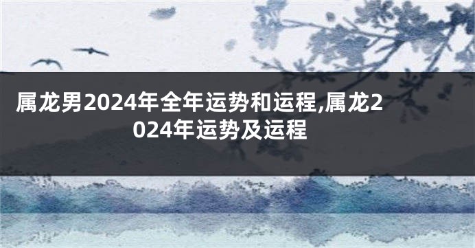 属龙男2024年全年运势和运程,属龙2024年运势及运程
