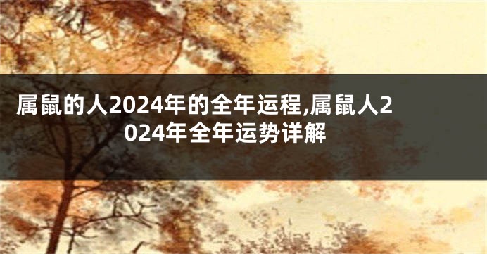 属鼠的人2024年的全年运程,属鼠人2024年全年运势详解