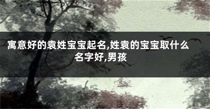 寓意好的袁姓宝宝起名,姓袁的宝宝取什么名字好,男孩