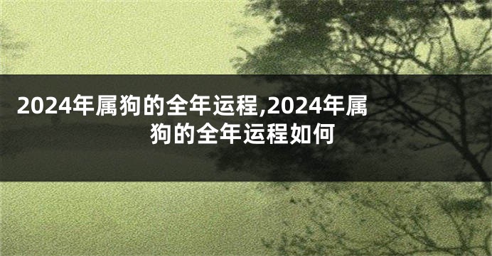 2024年属狗的全年运程,2024年属狗的全年运程如何