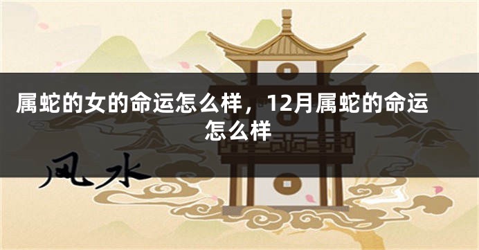 属蛇的女的命运怎么样，12月属蛇的命运怎么样