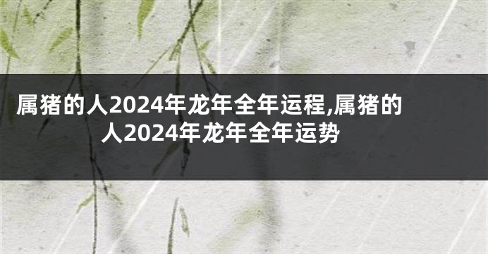 属猪的人2024年龙年全年运程,属猪的人2024年龙年全年运势