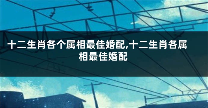 十二生肖各个属相最佳婚配,十二生肖各属相最佳婚配