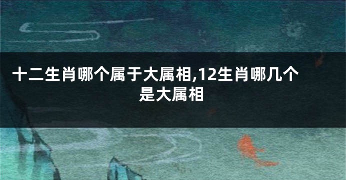 十二生肖哪个属于大属相,12生肖哪几个是大属相