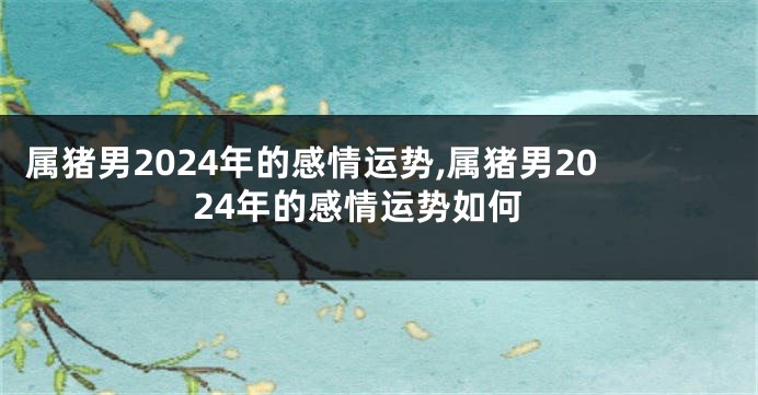 属猪男2024年的感情运势,属猪男2024年的感情运势如何