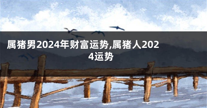 属猪男2024年财富运势,属猪人2024运势