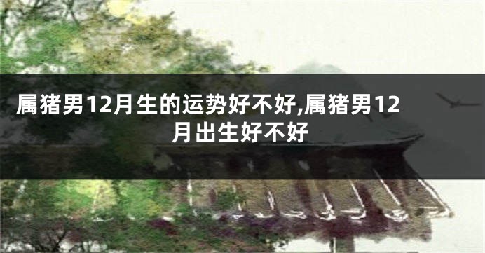 属猪男12月生的运势好不好,属猪男12月出生好不好