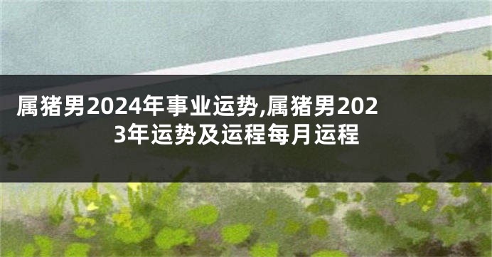 属猪男2024年事业运势,属猪男2023年运势及运程每月运程