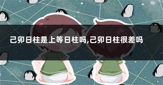 己卯日柱是上等日柱吗,己卯日柱很差吗