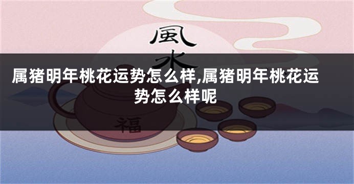 属猪明年桃花运势怎么样,属猪明年桃花运势怎么样呢