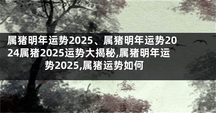 属猪明年运势2025、属猪明年运势2024属猪2025运势大揭秘,属猪明年运势2025,属猪运势如何