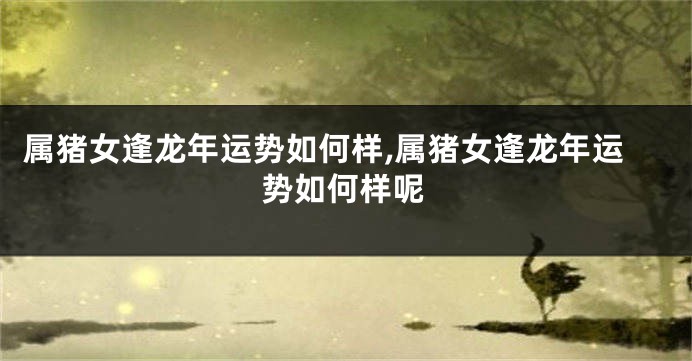 属猪女逢龙年运势如何样,属猪女逢龙年运势如何样呢