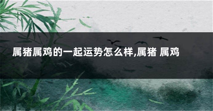 属猪属鸡的一起运势怎么样,属猪 属鸡