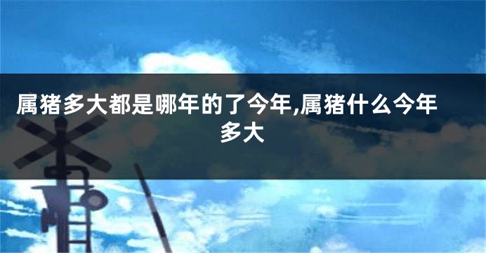 属猪多大都是哪年的了今年,属猪什么今年多大
