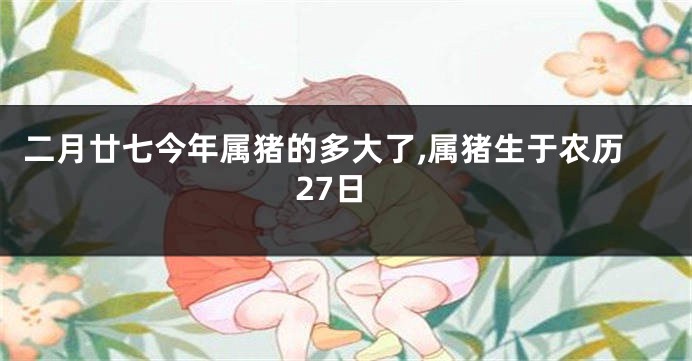 二月廿七今年属猪的多大了,属猪生于农历27日
