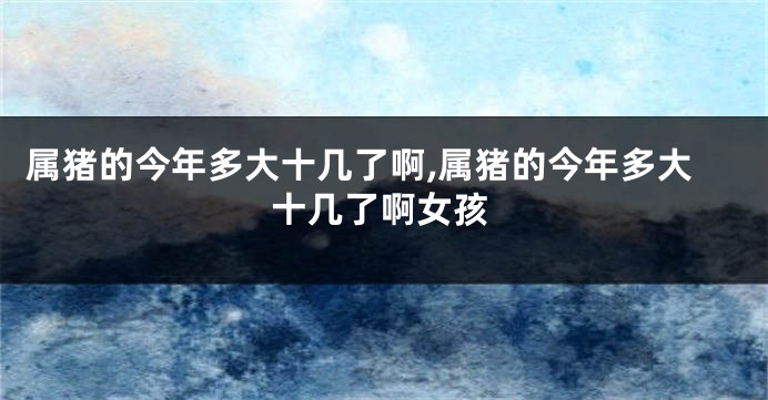 属猪的今年多大十几了啊,属猪的今年多大十几了啊女孩