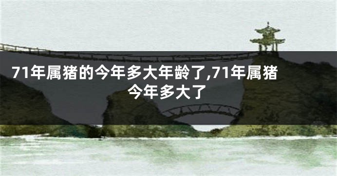 71年属猪的今年多大年龄了,71年属猪今年多大了