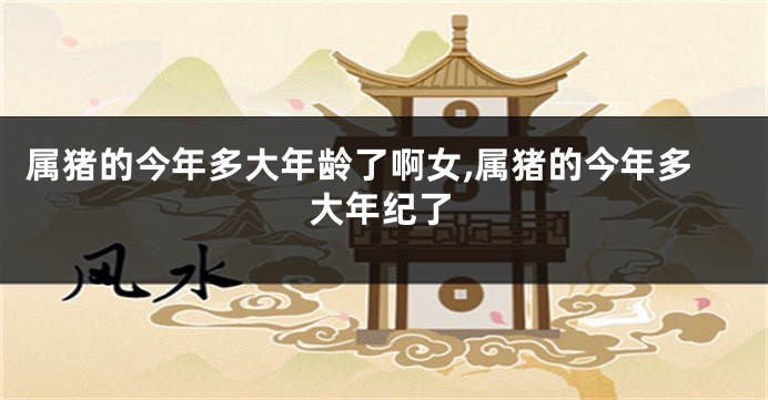 属猪的今年多大年龄了啊女,属猪的今年多大年纪了