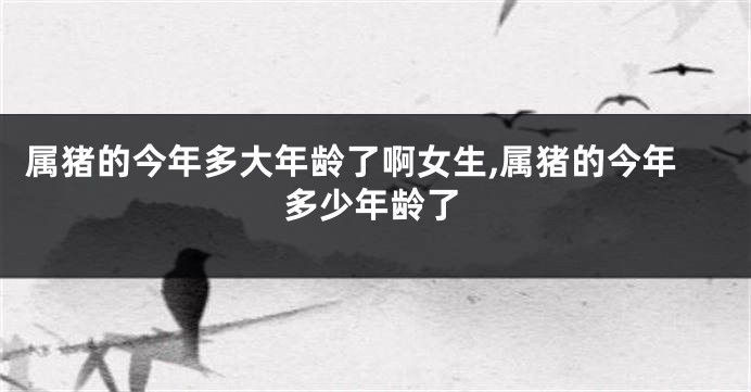属猪的今年多大年龄了啊女生,属猪的今年多少年龄了