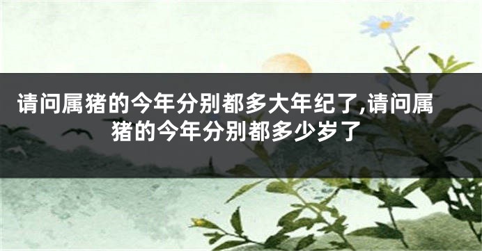 请问属猪的今年分别都多大年纪了,请问属猪的今年分别都多少岁了