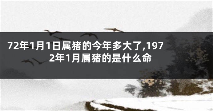 72年1月1日属猪的今年多大了,1972年1月属猪的是什么命