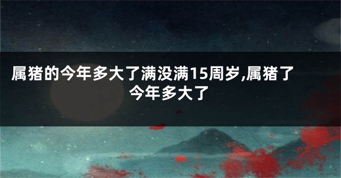属猪的今年多大了满没满15周岁,属猪了今年多大了