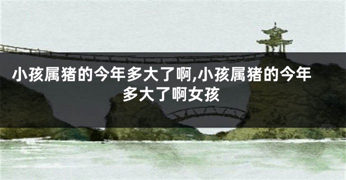 小孩属猪的今年多大了啊,小孩属猪的今年多大了啊女孩