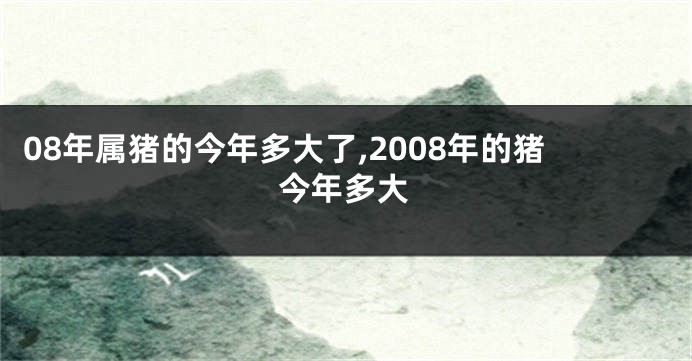 08年属猪的今年多大了,2008年的猪今年多大