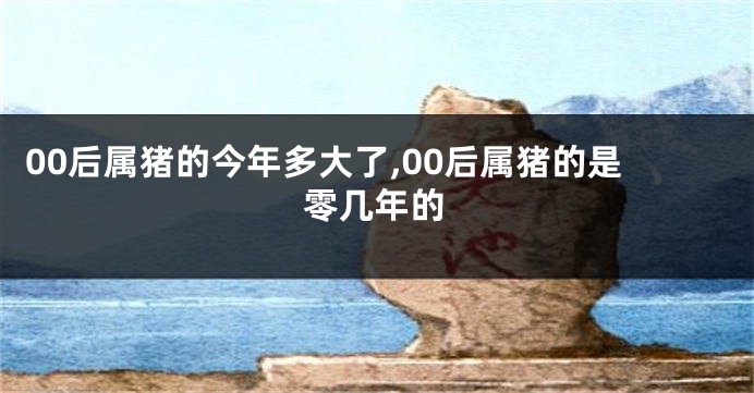 00后属猪的今年多大了,00后属猪的是零几年的