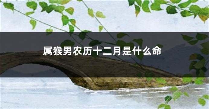 属猴男农历十二月是什么命