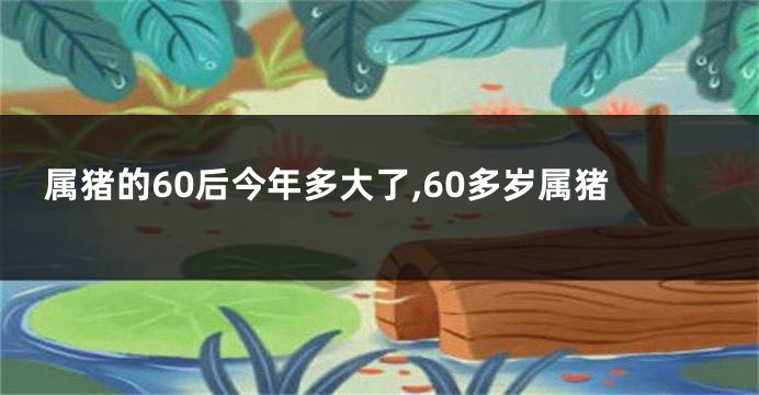 属猪的60后今年多大了,60多岁属猪