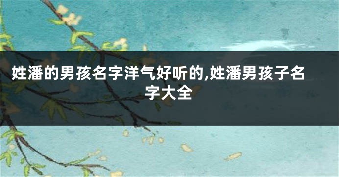 姓潘的男孩名字洋气好听的,姓潘男孩子名字大全
