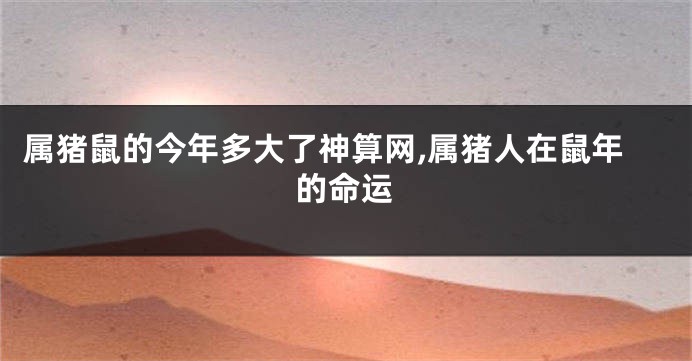 属猪鼠的今年多大了神算网,属猪人在鼠年的命运