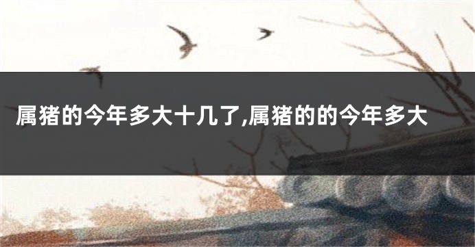属猪的今年多大十几了,属猪的的今年多大