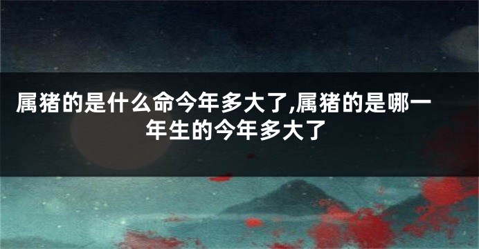 属猪的是什么命今年多大了,属猪的是哪一年生的今年多大了