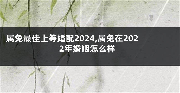 属兔最佳上等婚配2024,属兔在2022年婚姻怎么样