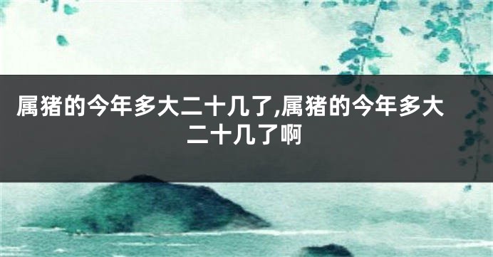 属猪的今年多大二十几了,属猪的今年多大二十几了啊
