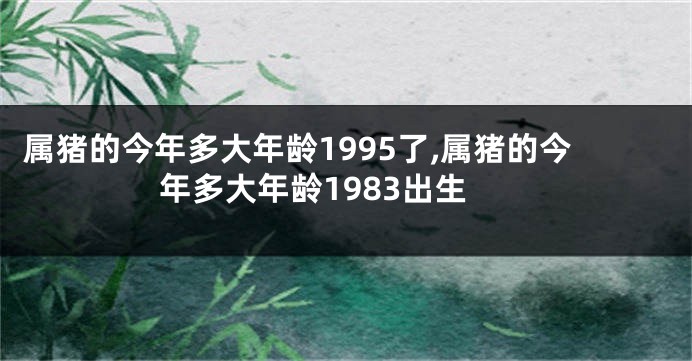 属猪的今年多大年龄1995了,属猪的今年多大年龄1983出生