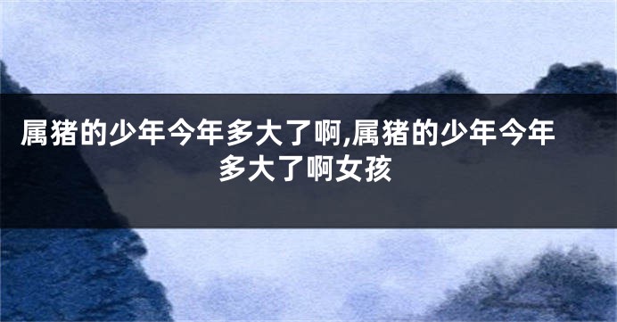 属猪的少年今年多大了啊,属猪的少年今年多大了啊女孩