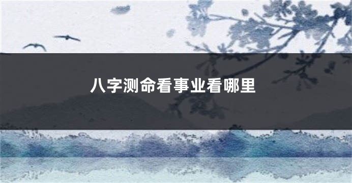 八字测命看事业看哪里