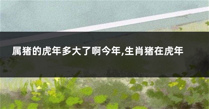 属猪的虎年多大了啊今年,生肖猪在虎年