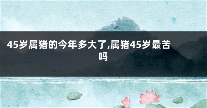 45岁属猪的今年多大了,属猪45岁最苦吗