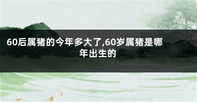 60后属猪的今年多大了,60岁属猪是哪年出生的